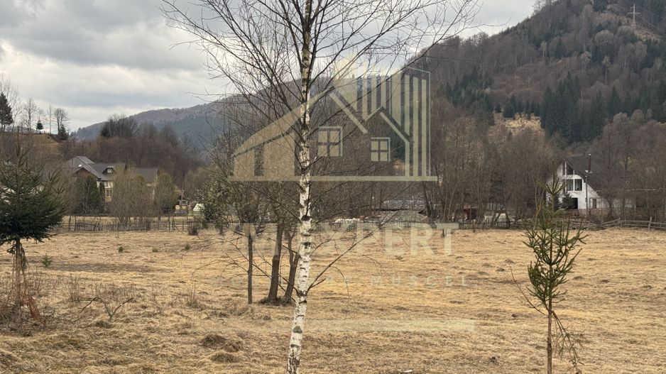 TEREN INTRAVILAN 500 MP SĂTIC- RUCĂR - Poză 8