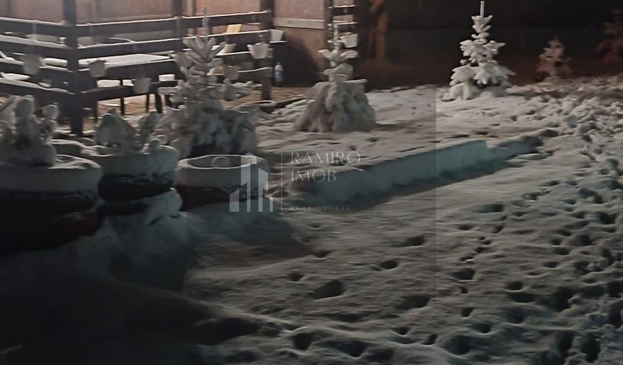 OCAZIE Casa P+M+ teren 700mp Adunatii-Copaceni - Poză 3