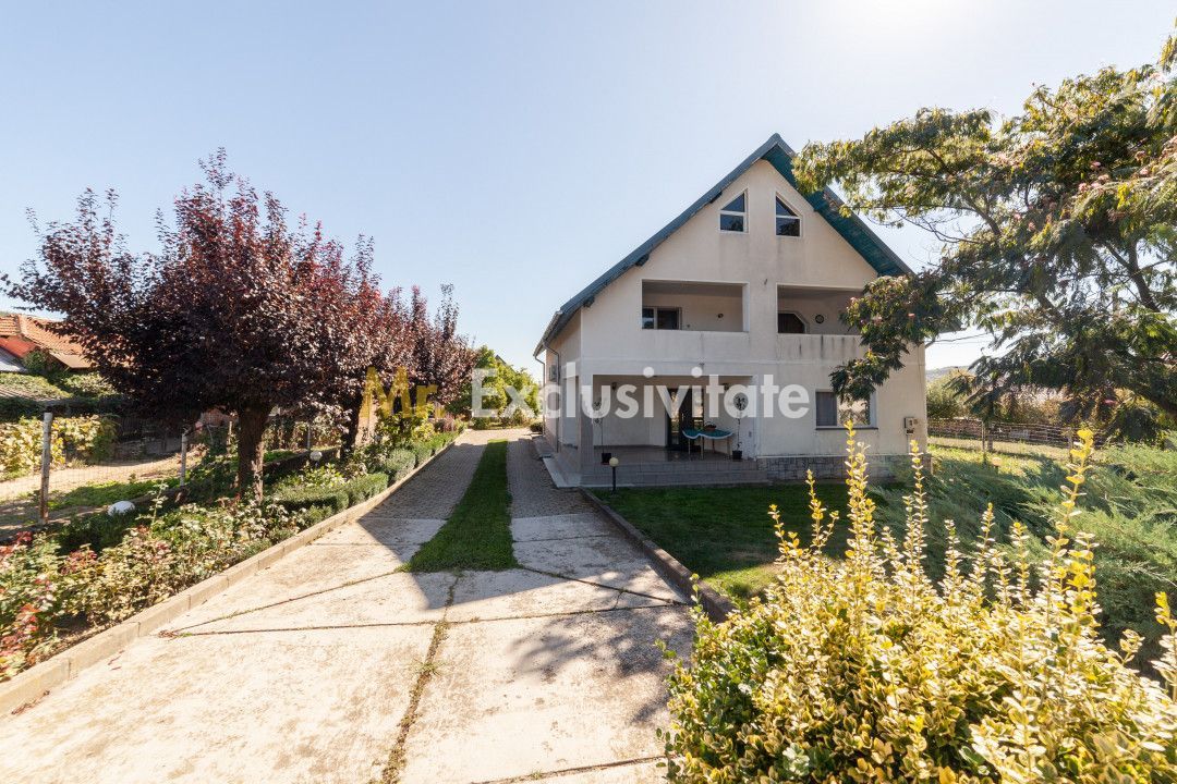 Casa visurilor cu 4000 mp livada roditoare si gradina Darmanesti-Arges - Poză 24
