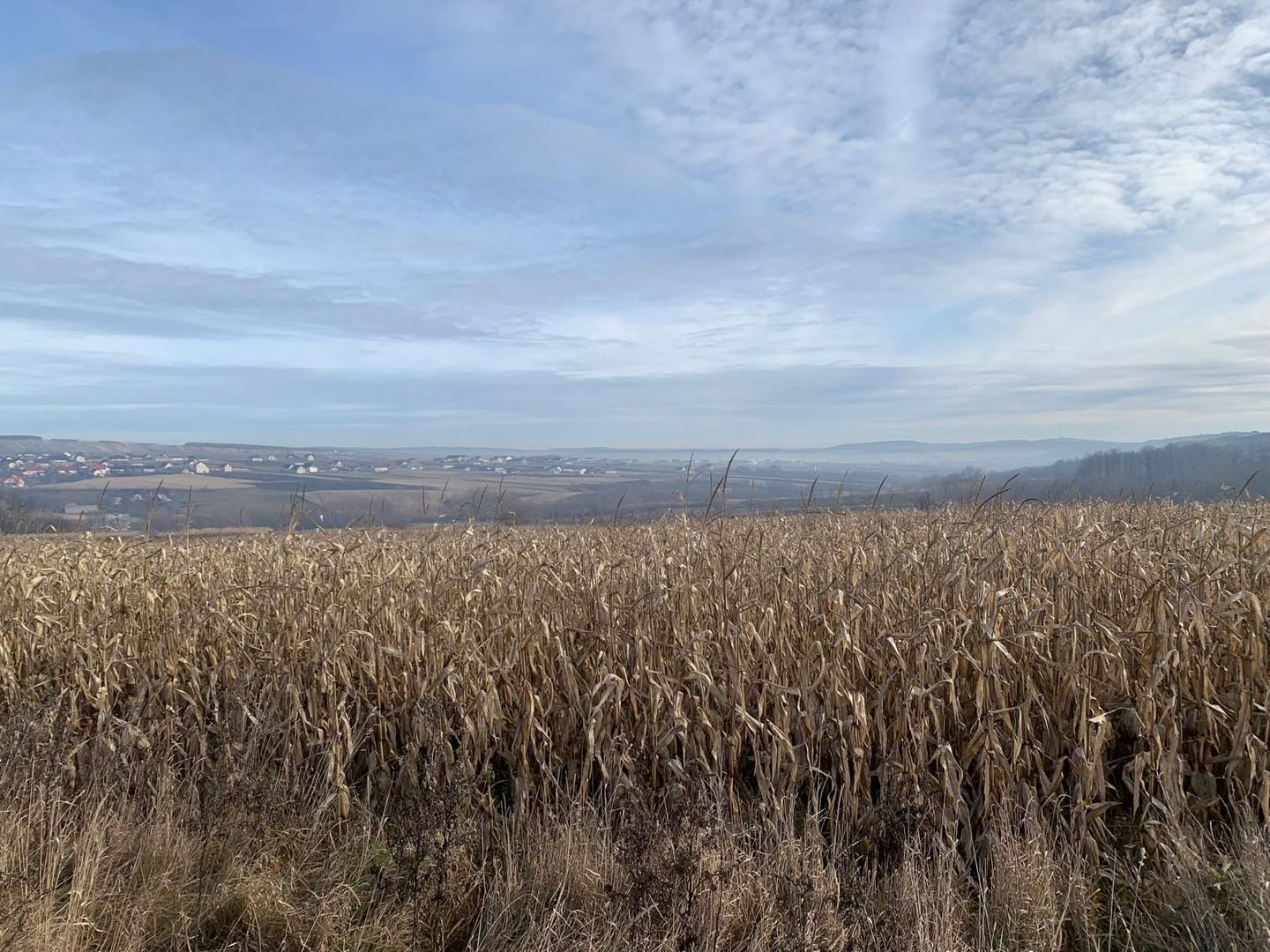 Teren intravilan de vânzare | Cajvana | 7.800 mp - Poză 5