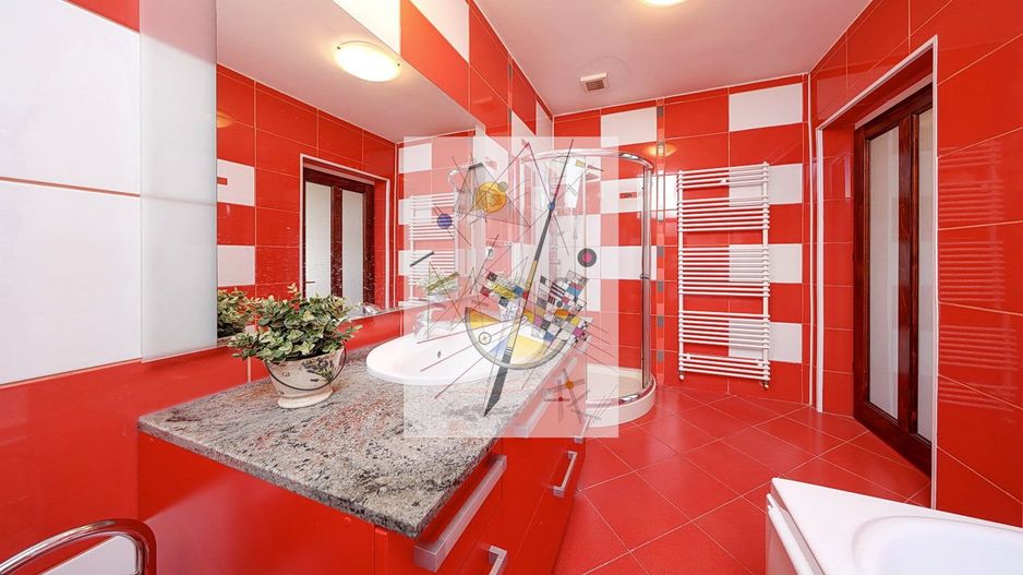 Imobil cu multiple posibilitati de exploatare - Poză 44