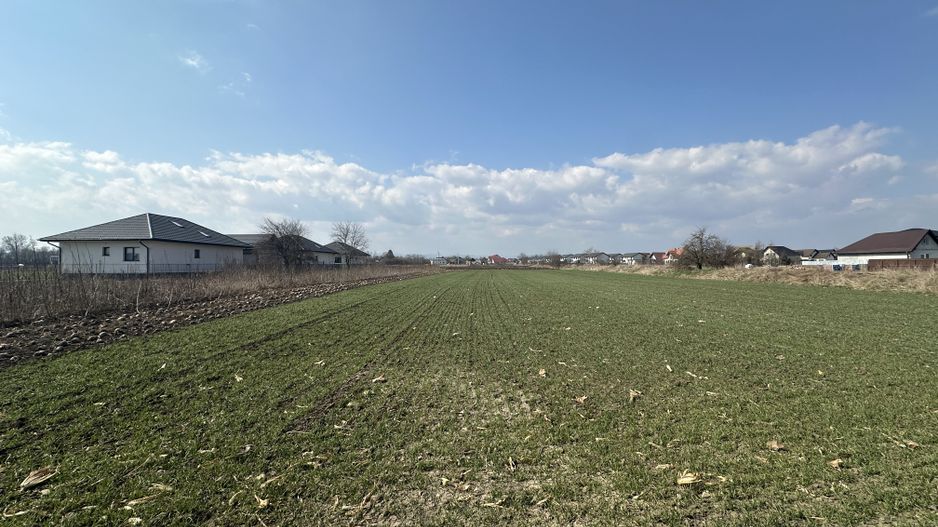 Teren intravilan 20 ari | Rădăuți | Front stradal 19.49 m - Poză 5