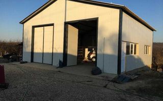 Vanzare hala si teren, Maracineni - Poză 2