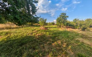 Teren intravilan 1.600 mp Mioveni – Zona Pruni - Poză 6
