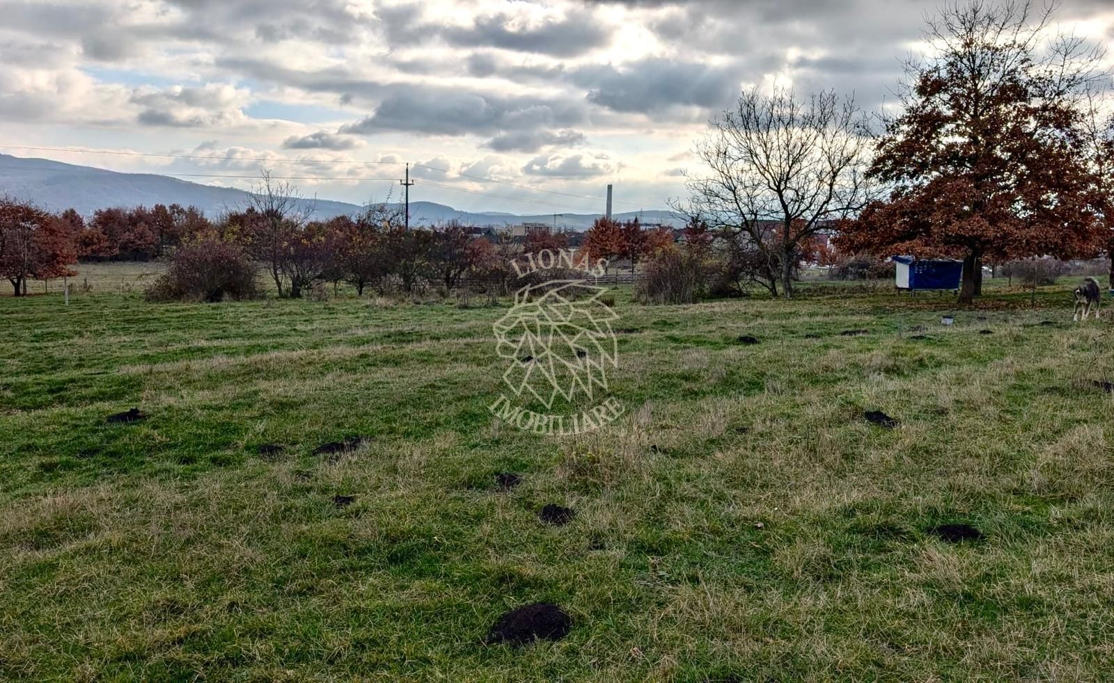 Teren intravilan 800 mp-ideal casa, investitie-Zona Dr. Dumitrei - Poză 2