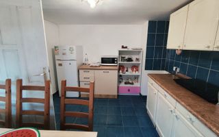 Vila de inchiriat/ Spatiu comercial.(etaj1/mansarda) Domenii - Poză 7