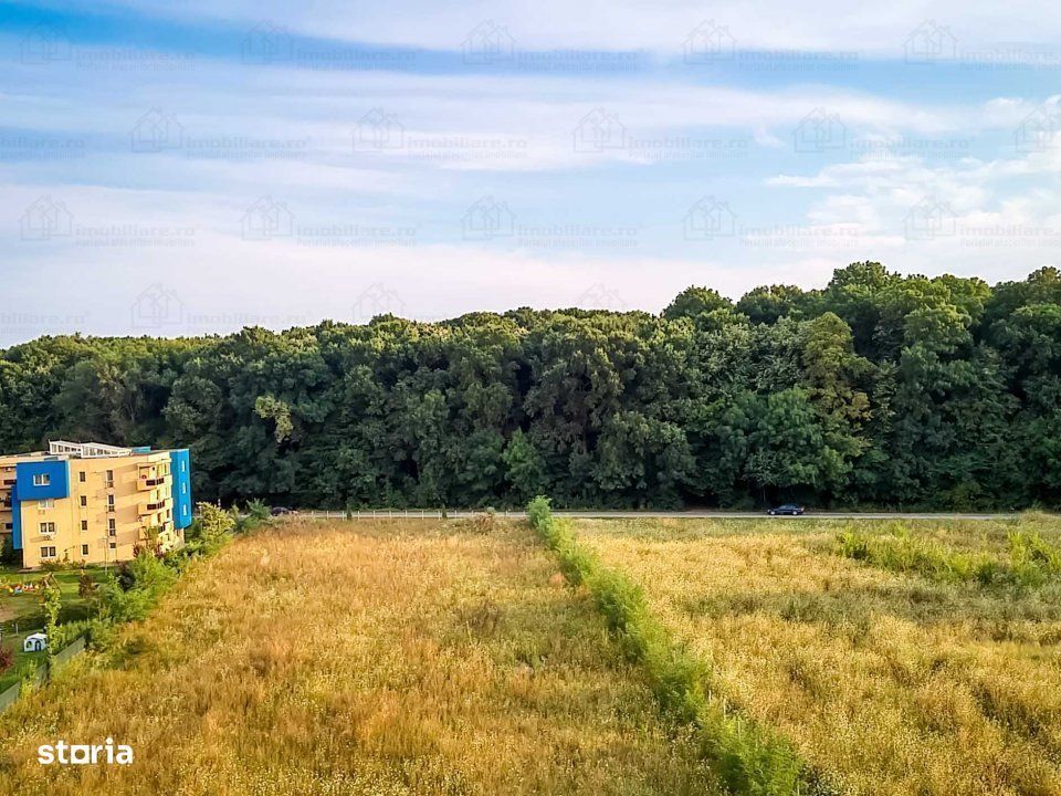 Inchiriere apartament de lux 3 cam.  Greenfield - Poză 7