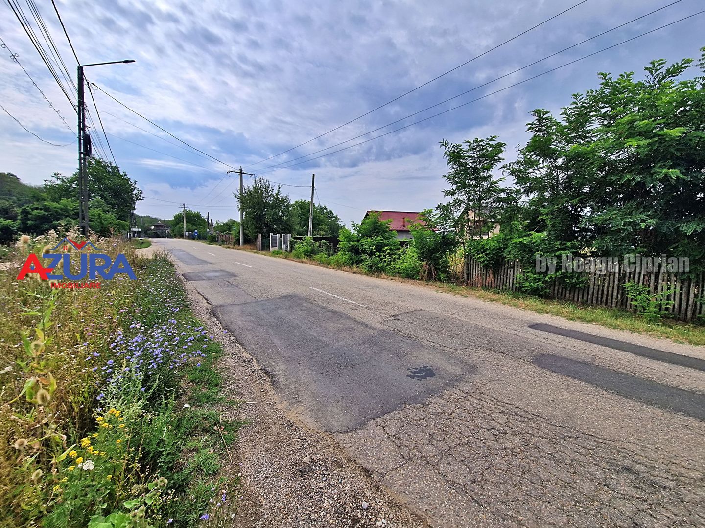 AZURA Imobiliare - Teren Budeasa Galasesti Calotesti - Poză 2