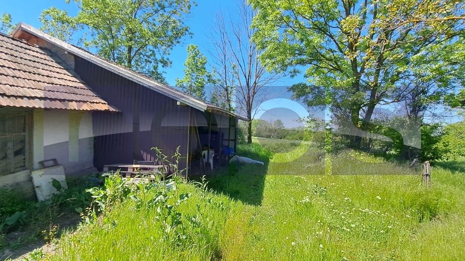 CASA TARANEASCA | TEREN 3000 MP | DESCHIDERE 52 M | COMUNA CIOLANESTI - Poză 4