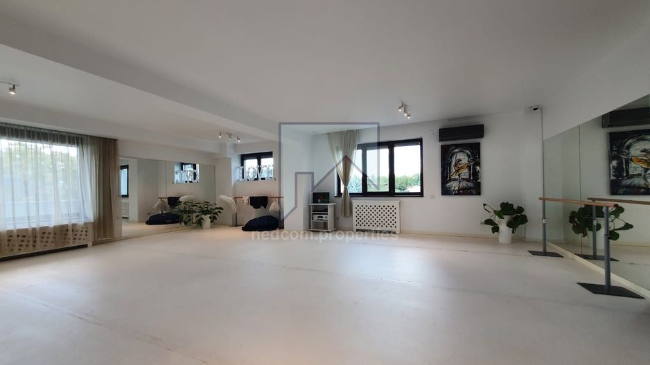 Vanzare Vila de exceptie - Domenii - Poză 13