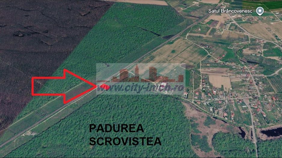 VANZARE TEREN, Sat.Balteni, com. Peris, Padurea Scrovistea, jud IIlfov - Poză 10