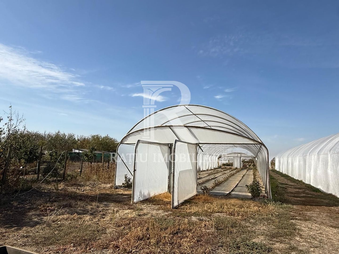 Teren intravilan agricol | 7029 mp | Satu Nou | Bihor - Poză 7