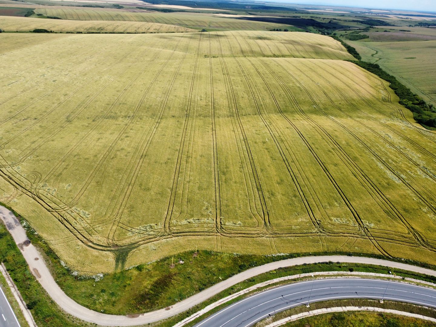 Teren la sosea Ortisoara - Autostrada A1 - Poză 21