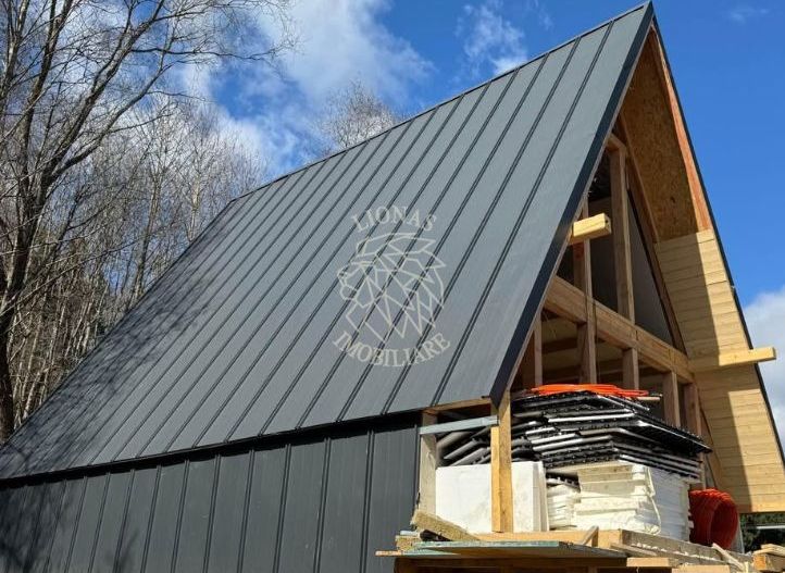 Cabana de vanzare 4 camere 100 mp-teren 300 mp-Colibita - Poză 3