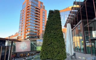 Apartament 2 camere  Palas Mall Sf Lazar - Poză 36