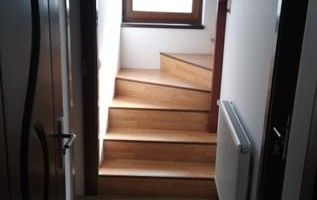 Închiriez pe termen lung casă – Comuna Tomești, sat Chicerea, jud IASI - Poză 10