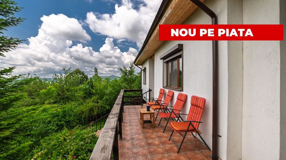 Casa moderna si casa bunicii + 6300 mp teren,Oaza autentica in Corbi Arges- - Poză 1