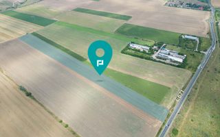 Teren extravilan 12.000 mp DN79 Arad-Oradea - Poză 1