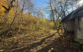 Teren langa pădure 6400mp+casa demolabila-deschidere 35 ml - Poză 10