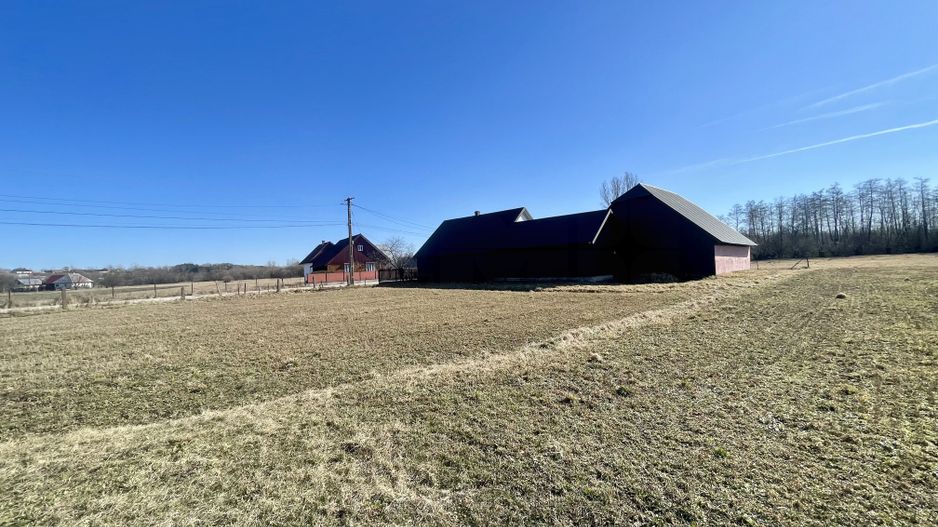 CASA RENOVATA + TEREN 3100 MP | CURTE SI GRADINA | FRATAUTII NOI - Poză 26