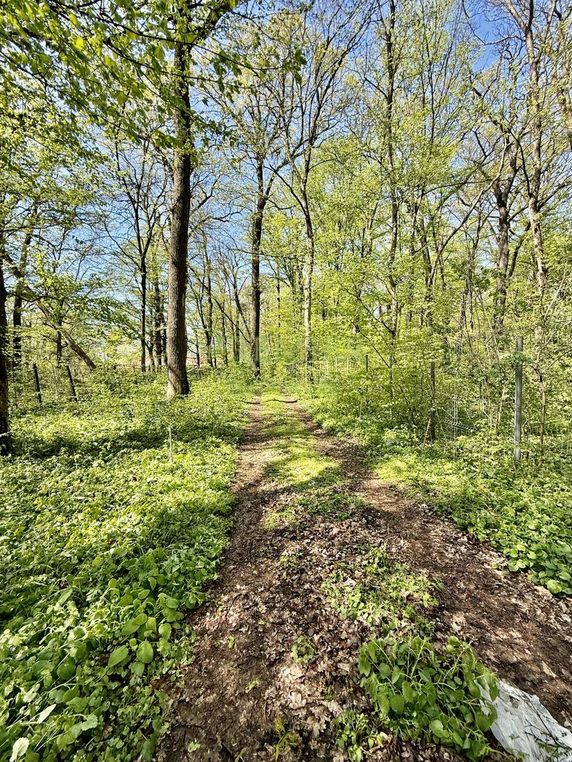 TEREN 7000 MP| DESCHIDERE 40 ML | INTRAVILAN-PADURE | POT 5% | TEREN UNIC | - Poză 4