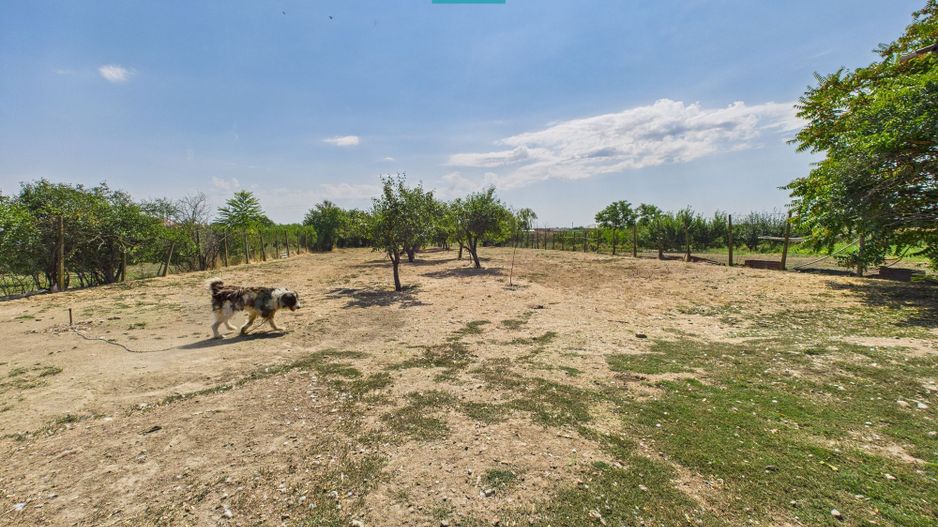 Casă cu 6 camere în Sânicolau Mare Timiș - Poză 21