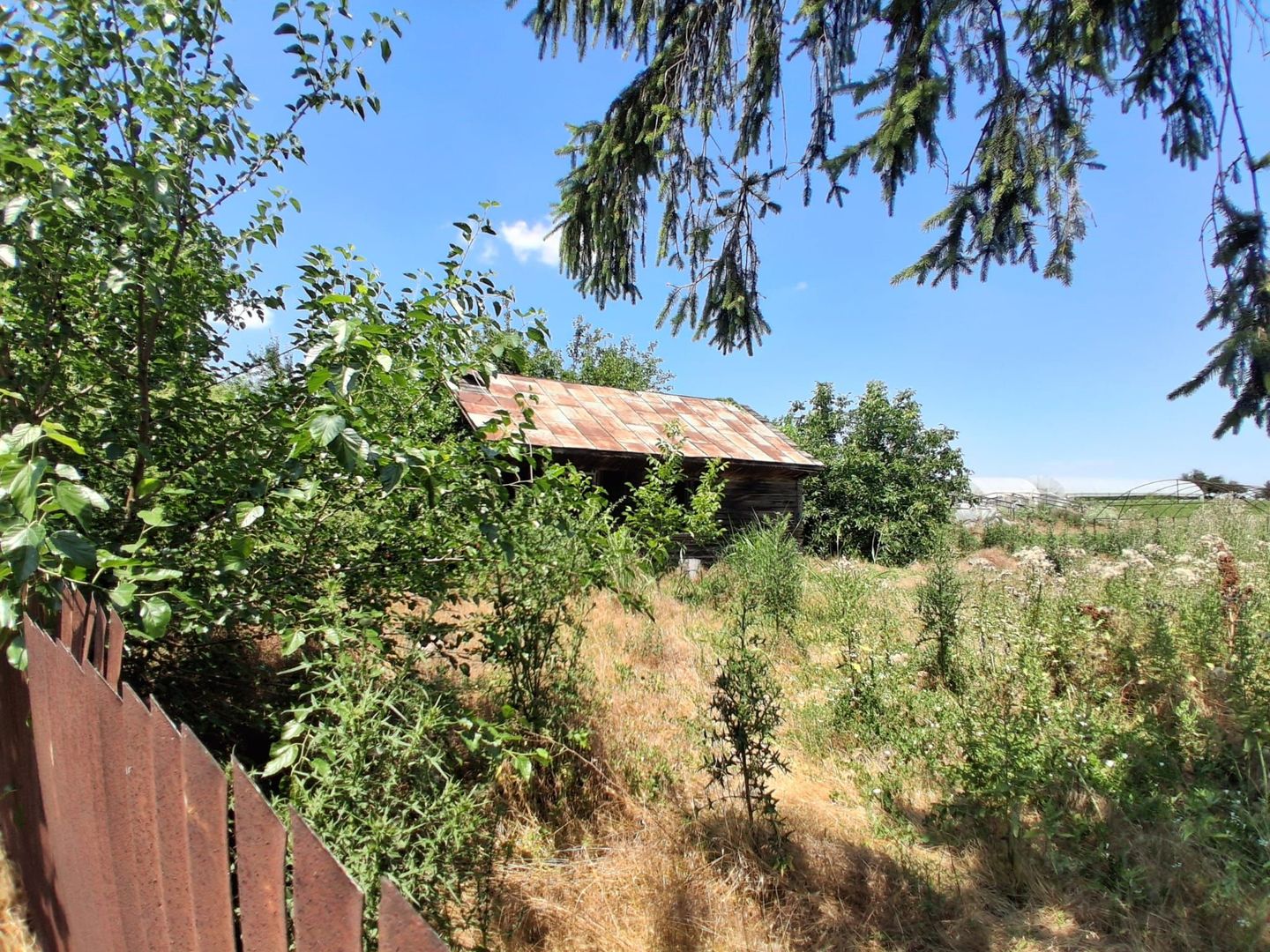 Vânzare teren Ilfov -Vidra | 3524 mp - Poză 5
