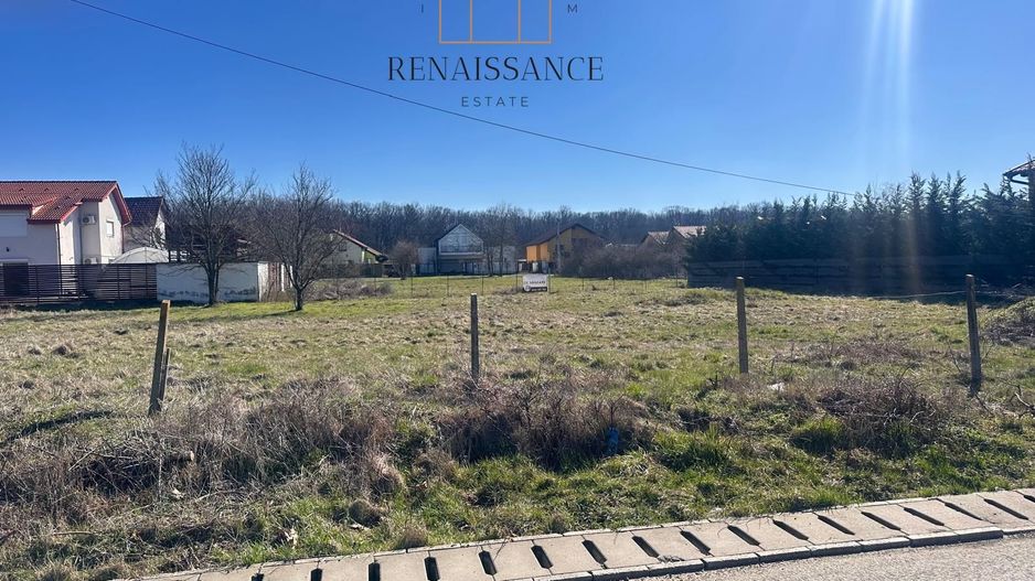 Dumbravita Teren Intravilan 1466mp Front 29m | Langa Padure - Poză 1