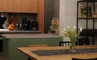 Apart deosebit pe malul Begai - Poză 12