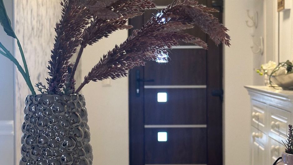 Oras & Natura | 4 camere | Casa insiruita | Dumbravita-Padurea Verde - Poză 6