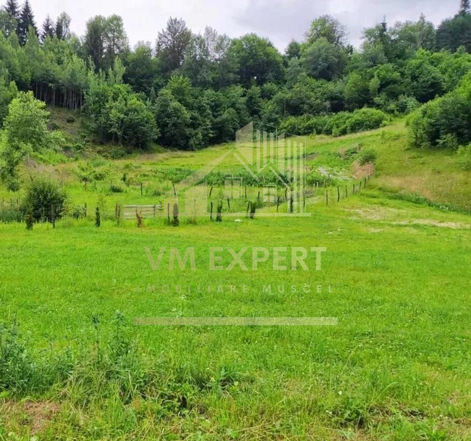 TEREN INTRAVILAN 1007 MP, SATIC, PODU DAMBOVITEI, ARGES - Poză 1