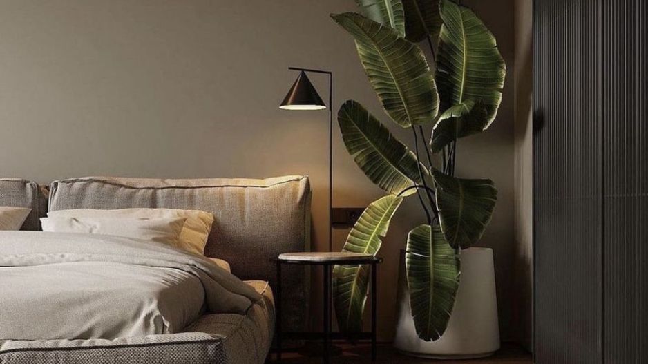 Oferta 3 cam izolatie fonica proiect premium Titan Pallady - Poză 6