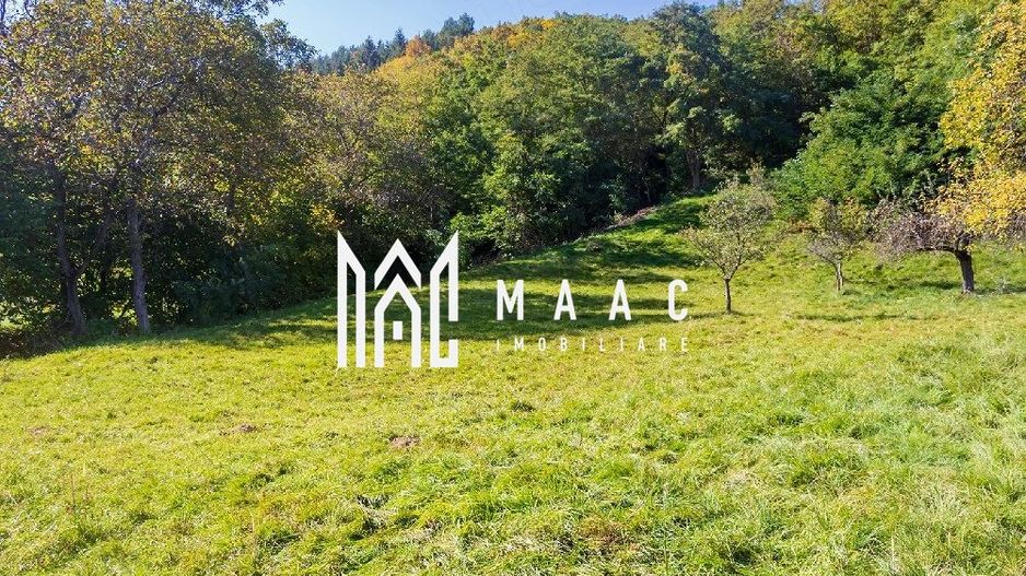 Teren | Intravilan | 2439 MPU | Fântânele - Poză 5