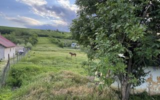 Teren intravilan de 6000 mp in Coarnele Caprei, Valea Babei, cu iesire la strada principala - Poză 5