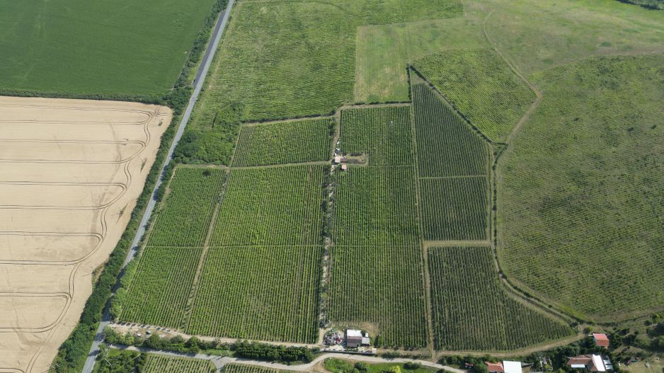 Vie Tradițională „Halta Lupilor” - Poză 37