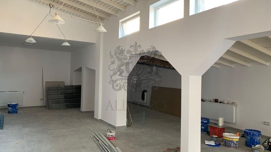 Casa Individuala | Vasile Lascar - Eminescu | 355 mp utili | 9 Camere - Poză 18