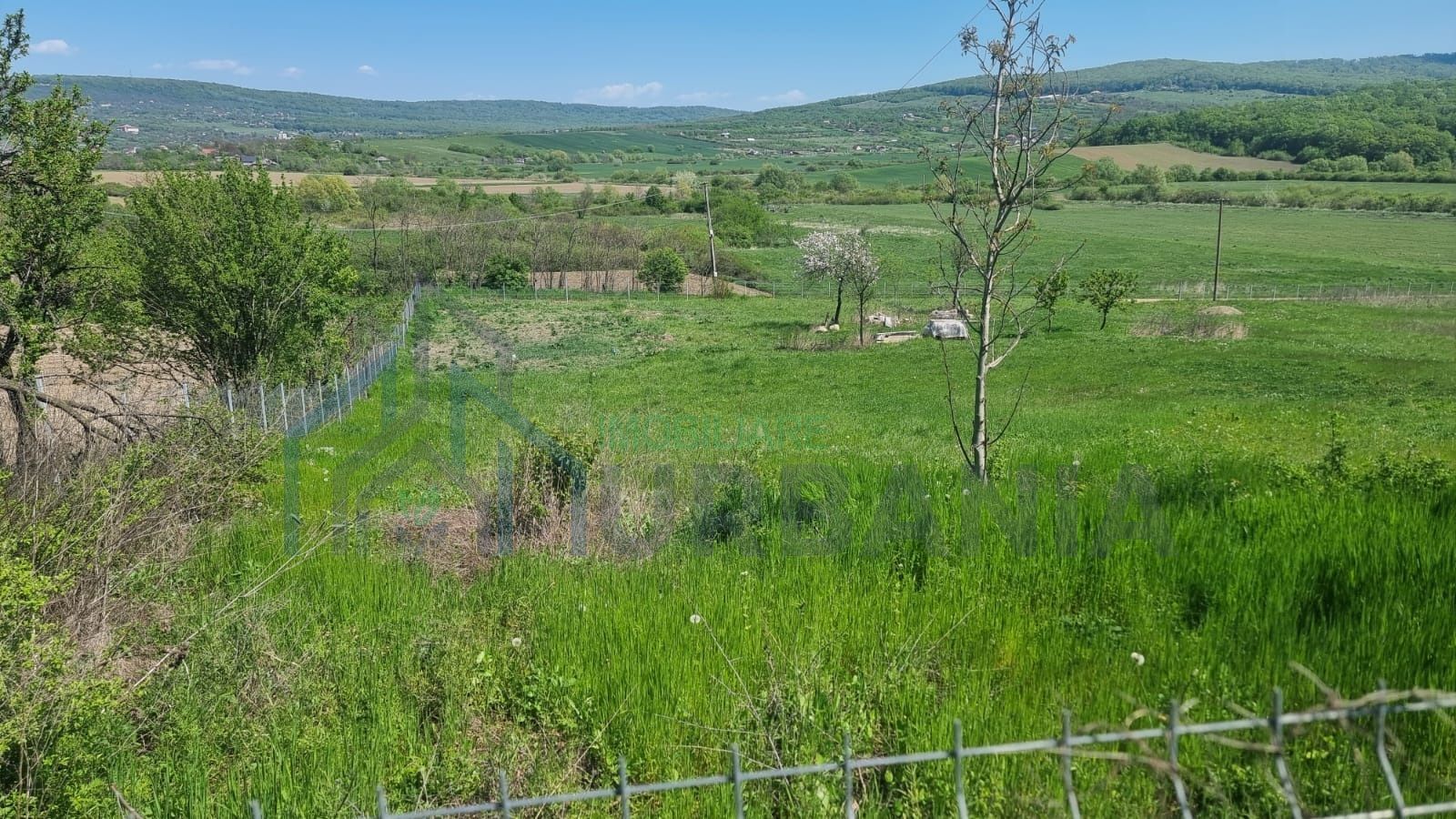 Teren de 1000 mp în Comuna Ciurea, Iași – Oportunitate de Investiție - Poză 5