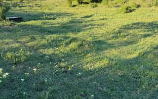 ⭐  Teren de 2.700 mp cu front generos – Ocazie în Oncea - Poză 23