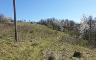 Teren cu panoramă fabuloasă, 10.059 mp, Roșia. 19.000 EUR. Comision 0 - Poză 5