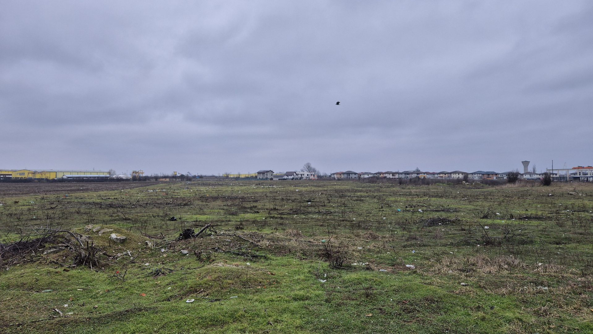 Teren intravilan 31497 mp - Chitila zona industriala de hale - Poză 3