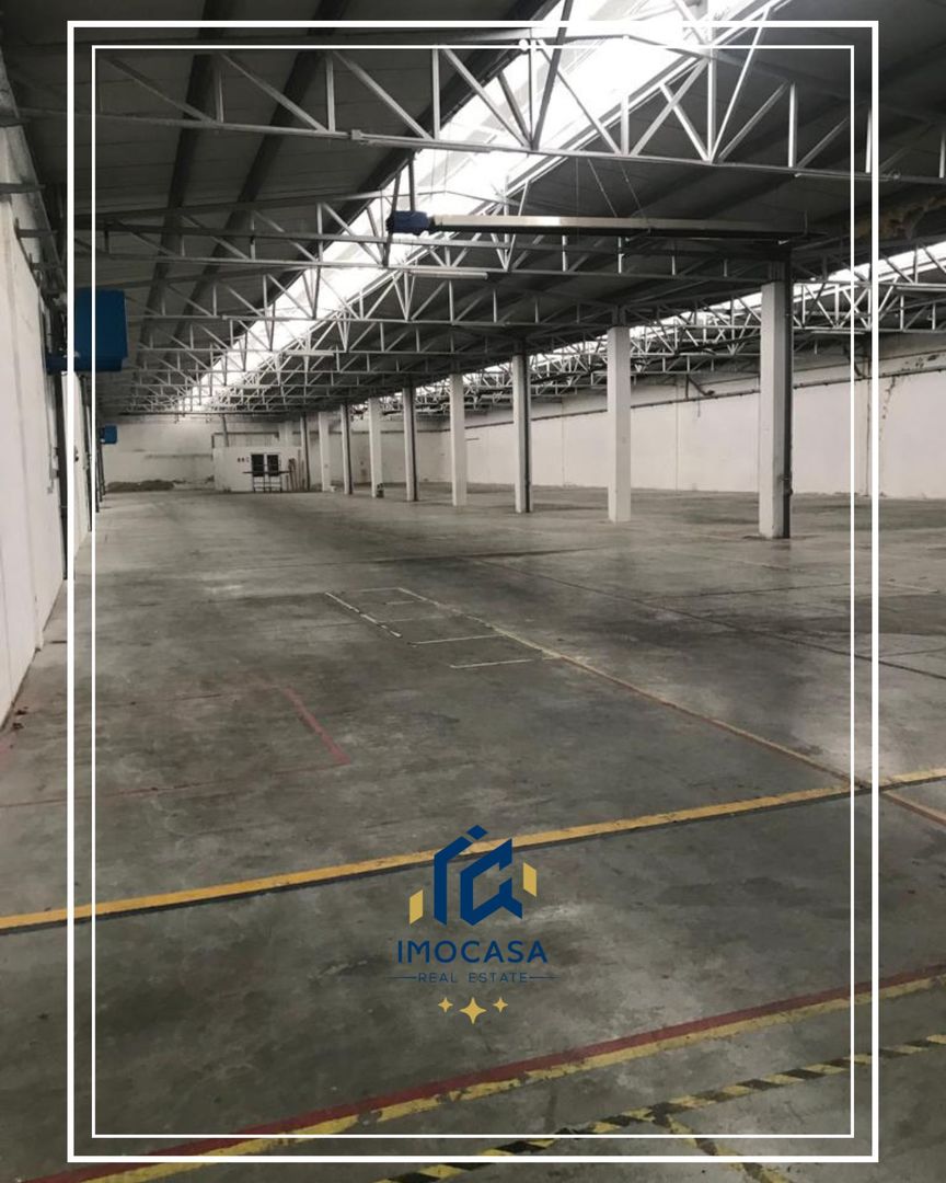 Hala de Inchiriat, comercial , industrial, logistica, Uta, Arad - Poză 1