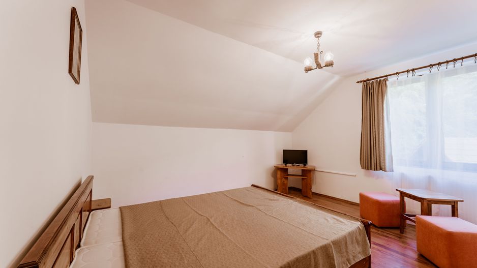 Domeniu în satul Căprioara - Poză 38