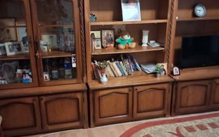 vand apartament 2 camere zona Alunisul Nou, paretr cvu terasa gaz tras - Poză 1