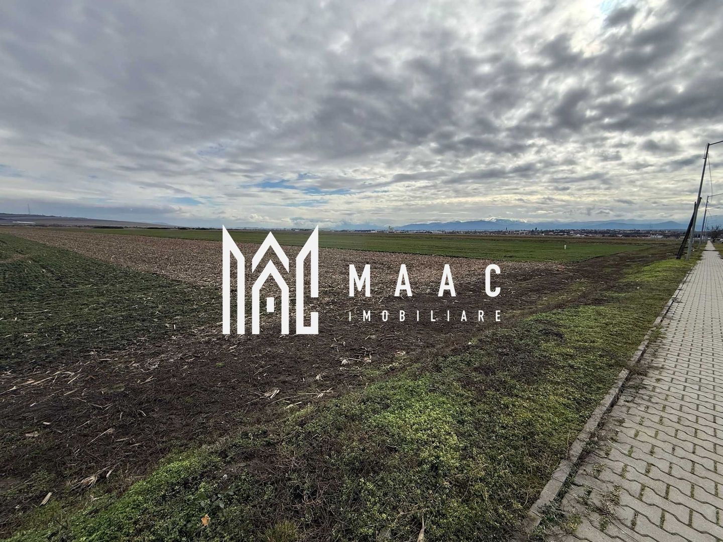 Teren intravilan | 9600 mp | Șură Mică | Utilități | Drum Asfaltat - Poză 1