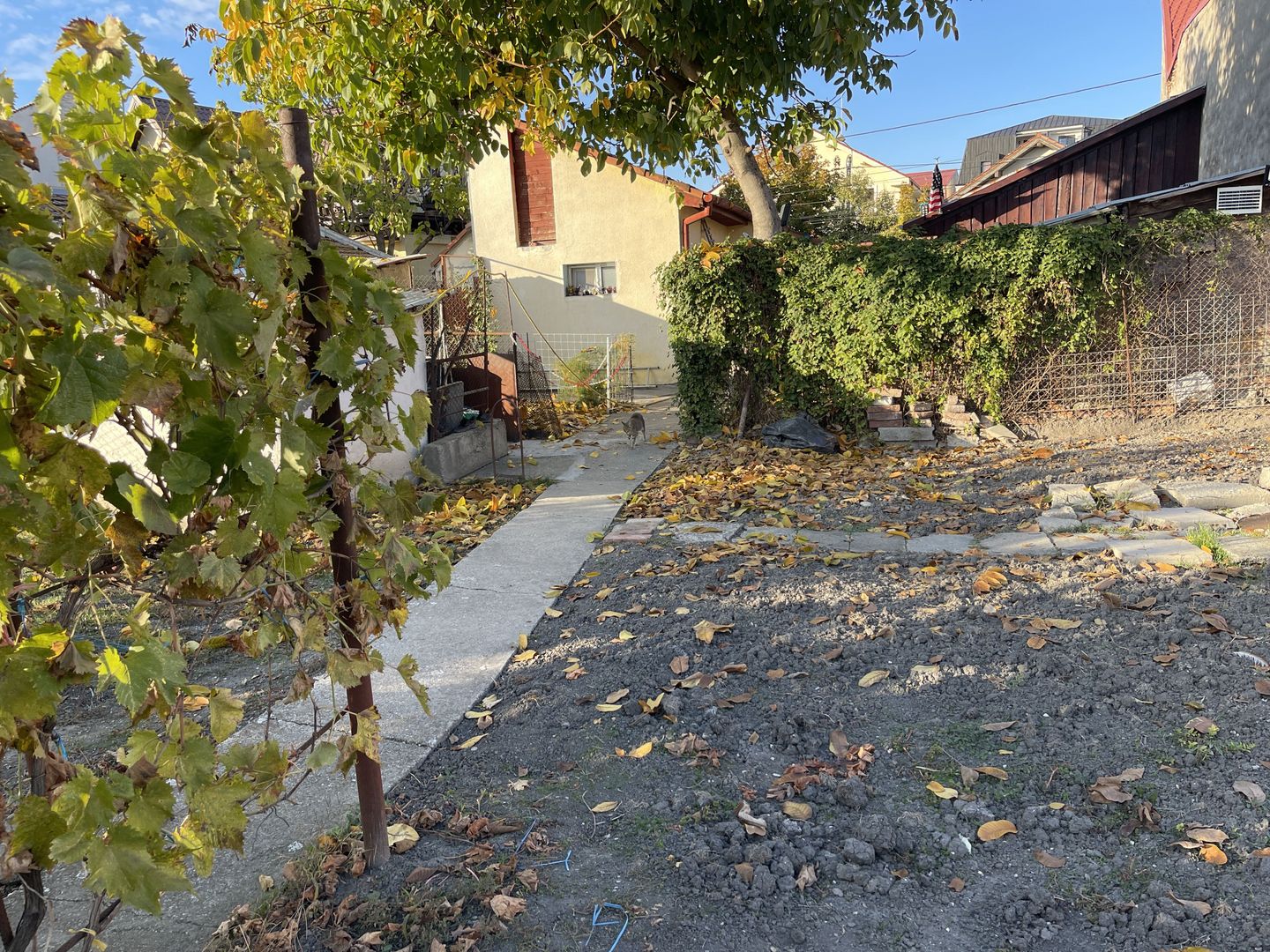 Teren ideal pentru constructie noua-800 mp cu front 22 ml - Poză 6