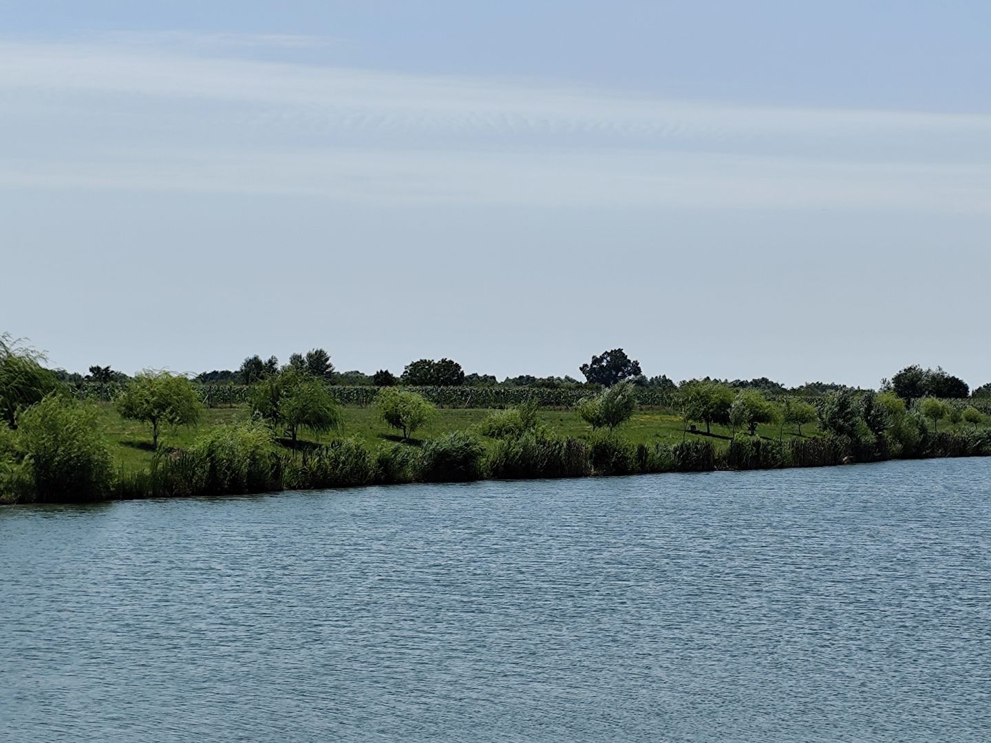 Balta de Pescuit | Cabana din Busteni | Teren 6,37 ha | langa Oradea - Poză 16