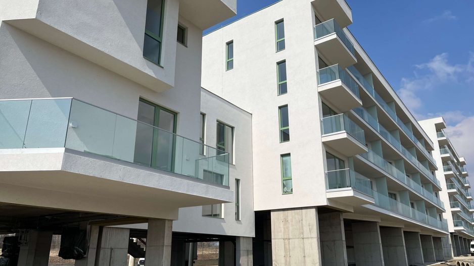 303 BY RADACINI - Poză 8