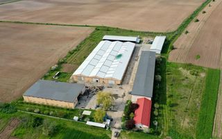 HALE INDUSTRIALE & PLATFORME BETONATE & TEREN INTRAVILAN 23500MP CRAIOVA - Poză 6