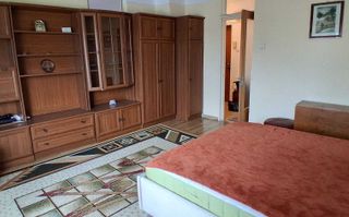 Apartament 1 cameră, decomandat, 38 m², Nicolina Belvedere, mobilat și utilat, lângă stația de autobuz și tramvai - Poză 1