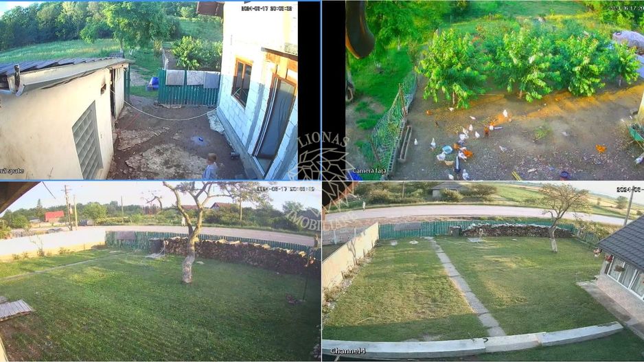 2 Case 240 mp-teren 1328 mp-livada-Cristesti 48 km de Piatra-Neamt - Poză 8